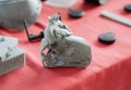 Prototype human heart section printed 3D printer object created on a 3D printer Royalty Free Stock Photo
