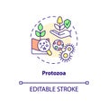 Protozoa concept icon