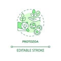 Protozoa green concept icon