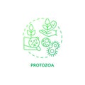 Protozoa green gradient concept icon