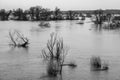 Protva river flooding in Drakino near the confluence with the Oka river