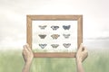 Proud collector shows his special collection of butterflies Royalty Free Stock Photo