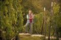 proud enologist at winery. farmer vinedresser. male vineyard owner. professional vintner Royalty Free Stock Photo