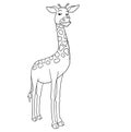 Proud face giraffe line art illustration