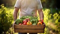 Proud farmer displaying a box of freshly picked vegetables against sunny farm backdrop.
