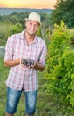 Proud farmer holding freshly picked grapes