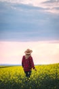 Proud farmer is looking at blooming rapeseed field during sunset