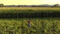 Proud Farmer Raising Arms in Front of His Fields at Sunset