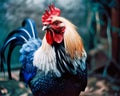 Proud French Rooster in Blue, White, and Red