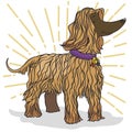 Proud Hairy Afghan Hound Dog Posing with Medal, Vector Illustration