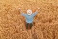 Proud happy victorious barley farmer with hands raised in V