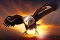 Proud majestic eagle flying through the sky Royalty Free Stock Photo