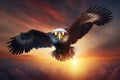 Proud majestic eagle wearing aviators, flying through the sky Royalty Free Stock Photo