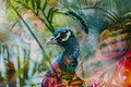 A proud peacock blended with the vibrant hues of a tropical garden in a double exposure