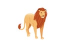 Proud powerful cute lion character cartoon style animal design flat vector illustration isolated on white background Royalty Free Stock Photo