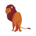 Proud powerful lion character. King of animal. Cartoon cute wild cat standing. Isolated vector Illustrations on a white Royalty Free Stock Photo