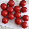 Prova On the Vine tomatoes in bunches, Solanum lycopersicum Royalty Free Stock Photo