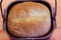 Proved dough of rye and leaven close-up Royalty Free Stock Photo