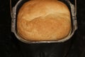 Proved dough of rye and leaven close-up Royalty Free Stock Photo
