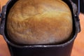 Proved dough of rye and leaven close-up Royalty Free Stock Photo