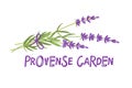 Proven?e Garden. Lavender bouquet. Label for handmade lavender soap Vector flat Illustration for home made organic Royalty Free Stock Photo