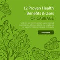 Proven health benefits and uses of cabbage vector
