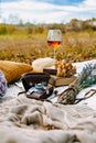 Provencal style autumn picnic Royalty Free Stock Photo