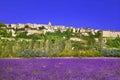 Provence. blooming lavande fields Royalty Free Stock Photo