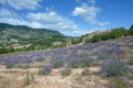 Provence,France Royalty Free Stock Photo