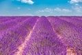 Provence, France. Lavender field at sunset. Lavender field summer sunset landscape near Valensole, Provence, France Royalty Free Stock Photo