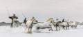 Riders on the White horses of Camargue galloping through water. Royalty Free Stock Photo