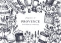 Provence herbs background in vintage style. Hand-sketched aromatic and medicinal plants design. Perfect for cosmetics, perfumery,