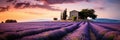 Countryside landscape with lavender fields at sunset, in a Provence like area - AI Generated Royalty Free Stock Photo
