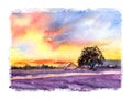 Provence landscape lavender field with sunset, watercolor illustration. Mediterranean landscape. Hand drawn watercolor Royalty Free Stock Photo