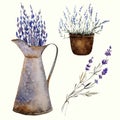 Provence lavender decor1 Royalty Free Stock Photo