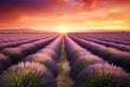 Lavender Field, Generative AI Royalty Free Stock Photo