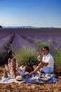 Provence, Lavender field at sunset, Valensole Plateau Provence France blooming lavender fields Royalty Free Stock Photo