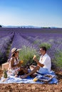 Provence, Lavender field at sunset, Valensole Plateau Provence France blooming lavender fields Royalty Free Stock Photo