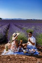 Provence, Lavender field at sunset, Valensole Plateau Provence France blooming lavender fields Royalty Free Stock Photo