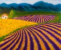 Provence lavender and sunflower fields, oil painting Royalty Free Stock Photo