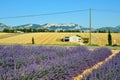 Provence rural landscape, France Royalty Free Stock Photo