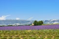 Provence rural landscape