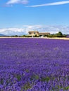 Provence rural landscape