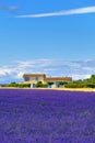 Provence rural landscape