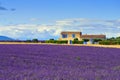 Provence rural landscape