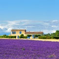 Provence rural landscape