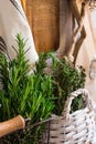 Provence rustic interior, fresh herbs, wood cutting board, linen towel, glass bottles, baskets