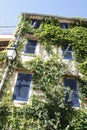 Provence's house covered by ivy Royalty Free Stock Photo