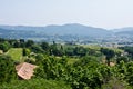 ProvenÃÂ§al Landscape Royalty Free Stock Photo