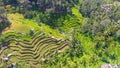 Aerial View of Tegallalang Rice Terrace, Ubud, Bali. Royalty Free Stock Photo